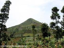 Gunung Sadahurip, Garut, West Java