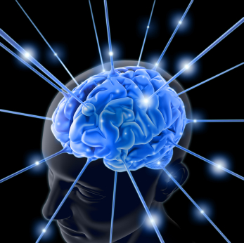 Memori Otak Bisa Dihapus? [ www.BlogApaAja.com ]