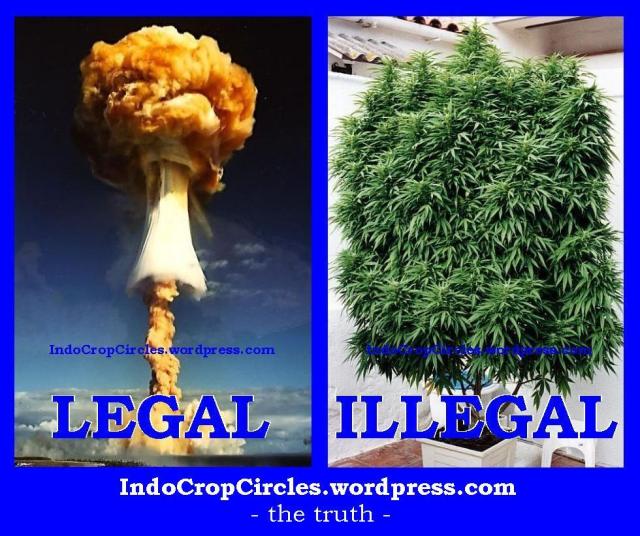 cannabis illegal and nuclear legal