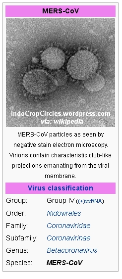 mers virus class wiki