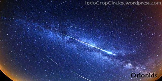 meteor orionids