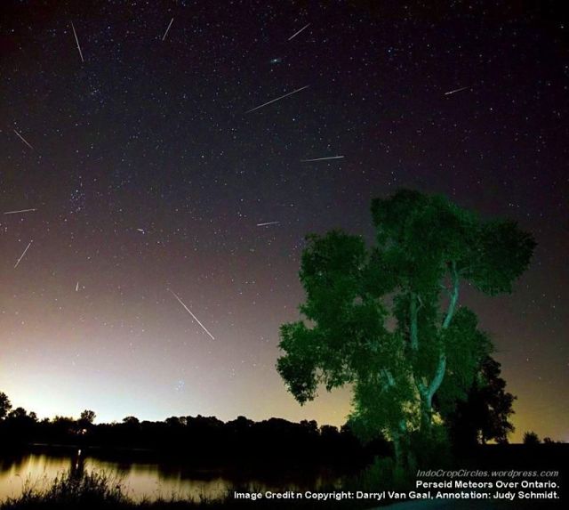 Perseid Meteors Over Ontario.Image Credit n Copyright by Darryl Van Gaal, Annotation, Judy Schmidt