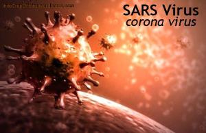 SARS Virus