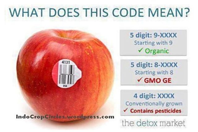 APPLE GMO