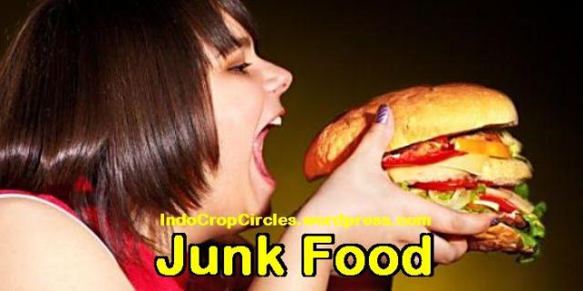junk food header