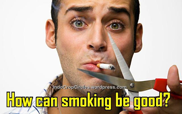 10 Manfaat Rokok Bagi Kesehatan Manusia