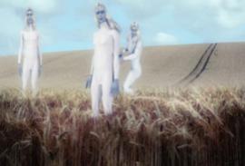 Tiga alien diladang gandum di Inggris (ilustrasi)