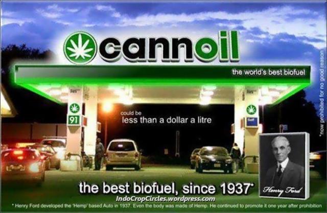 cannoil ganja cannabis biofuel