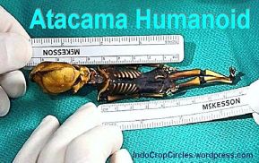 Atacama Humanoid Rangka manusia mini header