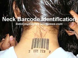 RFID neck arcode identification tattoo on back neck