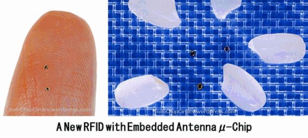 RFID nanochip