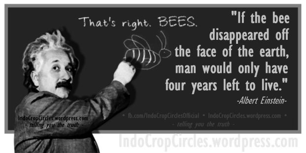 bee lebah einstein header
