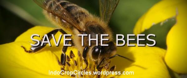 save the bees header