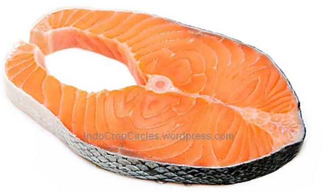 banned ikan salmon USA