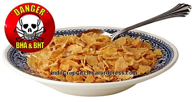 banned Pengawet BHA dan BHT Cereal USA