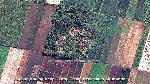 Dusun Karang Kenek, Desa Olean, Kecamatan Situbondo 3