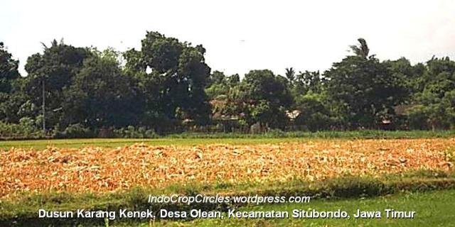 Dusun Karang Kenek, Desa Olean, Kecamatan Situbondo header
