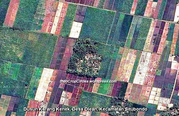 Dusun Karang Kenek, Desa Olean, Kecamatan Situbondo