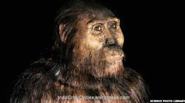 Spesies manusia purba Australopithecus afarensis semula diyakini sebagai nenek moyang manusia modern. (pict: Science Photo Library)