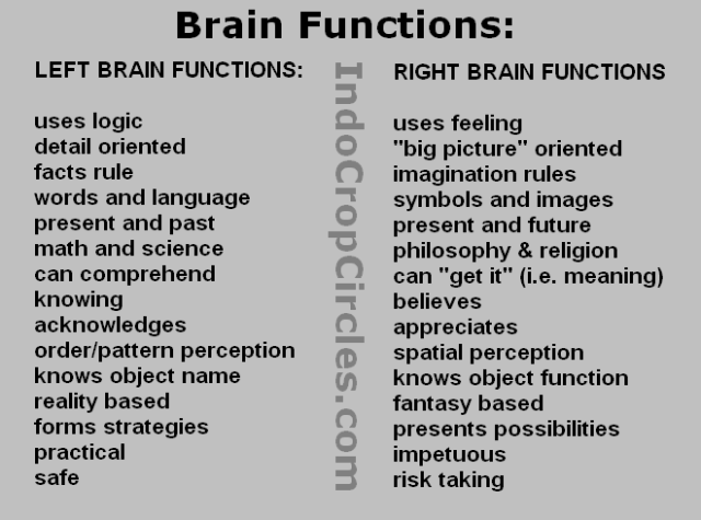 Brain Functions Fungsi otak