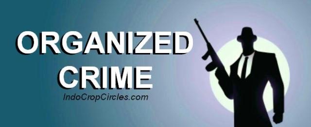 Organized Crimes_header