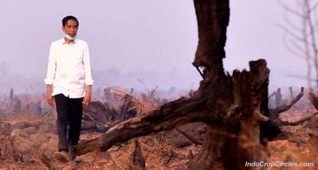 Presiden-Jokowi-ketika-meninjau-lokasi-kebakaran-lahan-di-Kalimantan-Rabu-23-Sep-2015-Foto-Antara