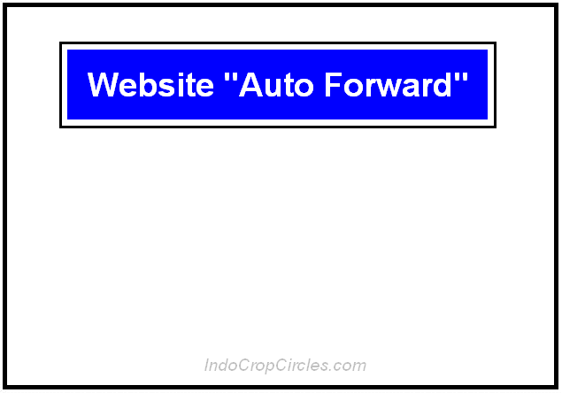 Website Auto Forward
